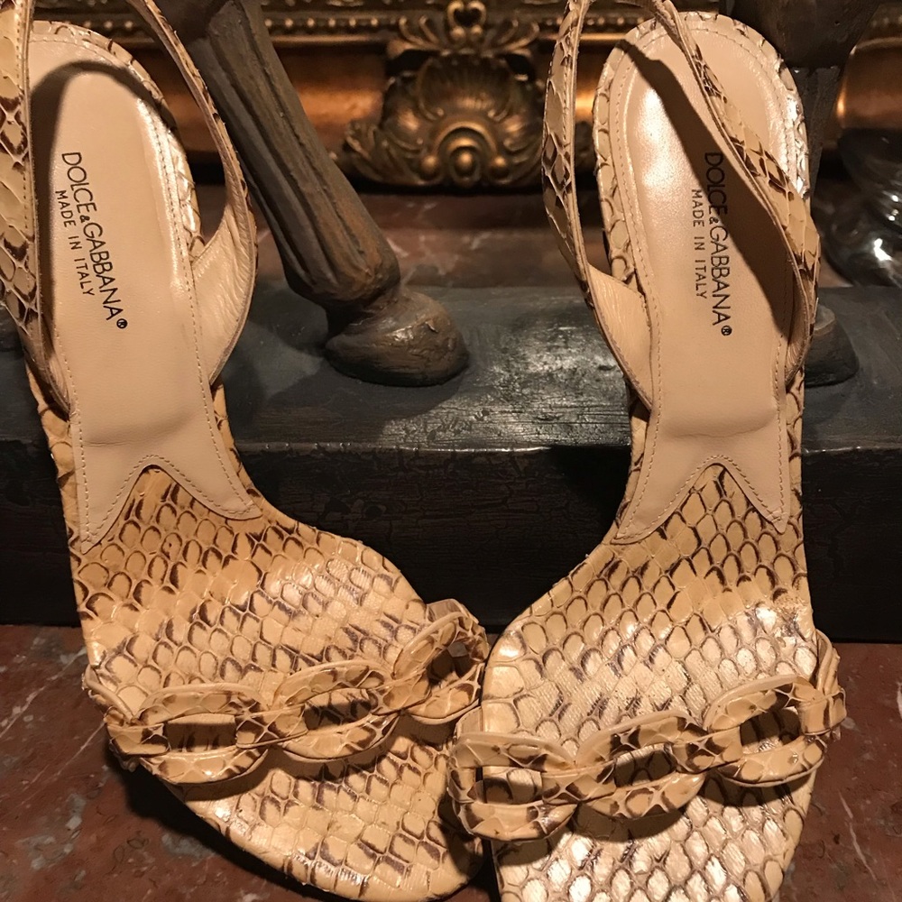 Dolce&Gabbana